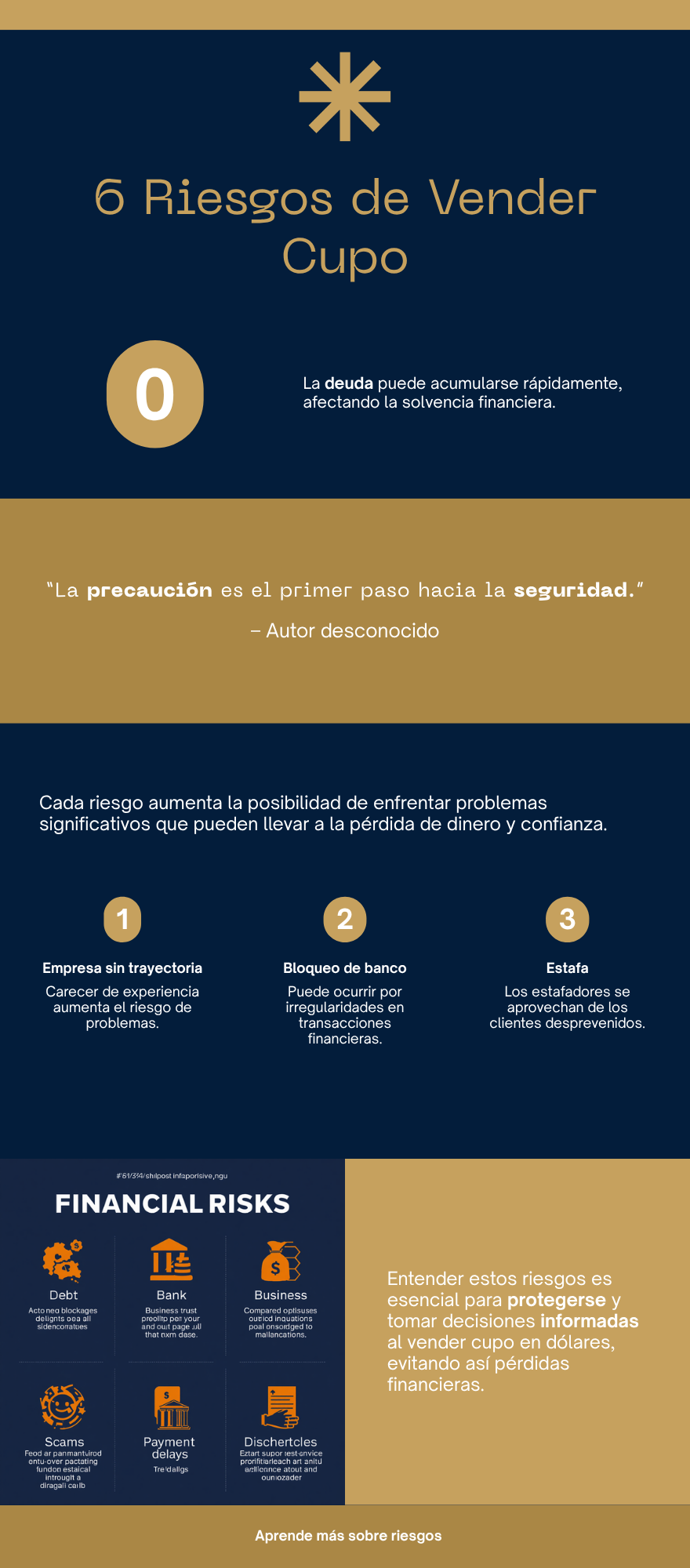 6 Riesgos de vender cupo en dólares - Infografía